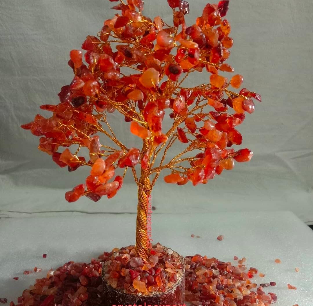Red Carnelian tree
